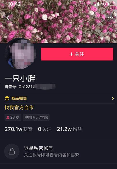 抖音网红ID,揭秘热门短视频背后的神秘力量”